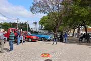 IMG-6575