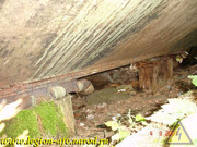 DSCN0103