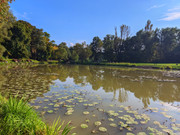 PXL_20210926_152753471