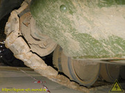 DSCN7824