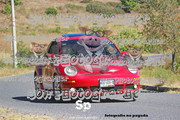 IMG-2563