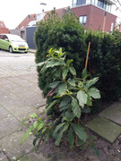 IMG_20210104_111349257