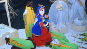 IMG-3229