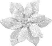 BC-Charlizes-Winter-44
