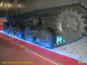 IMG-7517