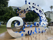 IMG-6349