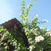 photo 24 2026 01 03 21 22 22