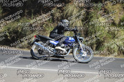 IMG-1350