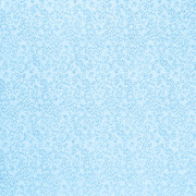 DS-WTL-Paper11