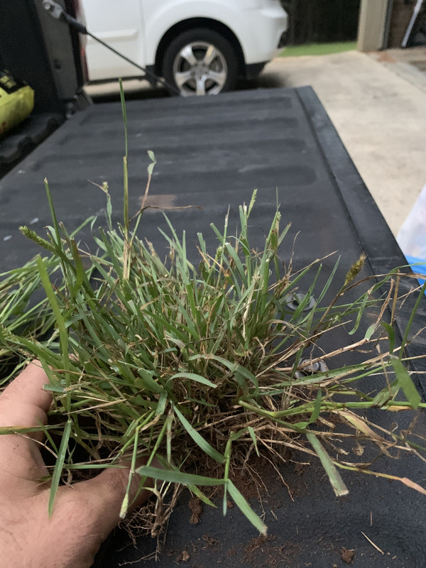 0CF84B2A-4C81-4FFD-B18C-470F35FE922E