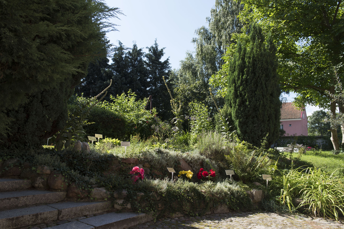 16.56 - NEW_9212 (Konfiturek)