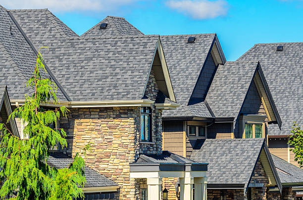 asphalt shingles