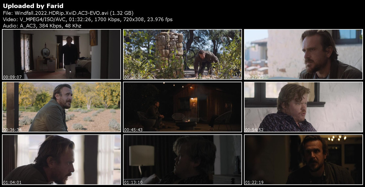 Windfall-2022-HDRip-Xvi-D-AC3-EVO.jpg