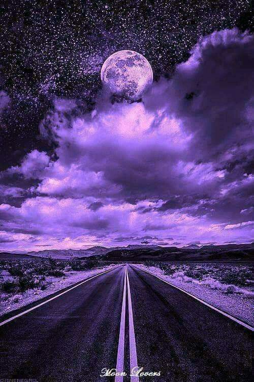 purpleroad.jpg