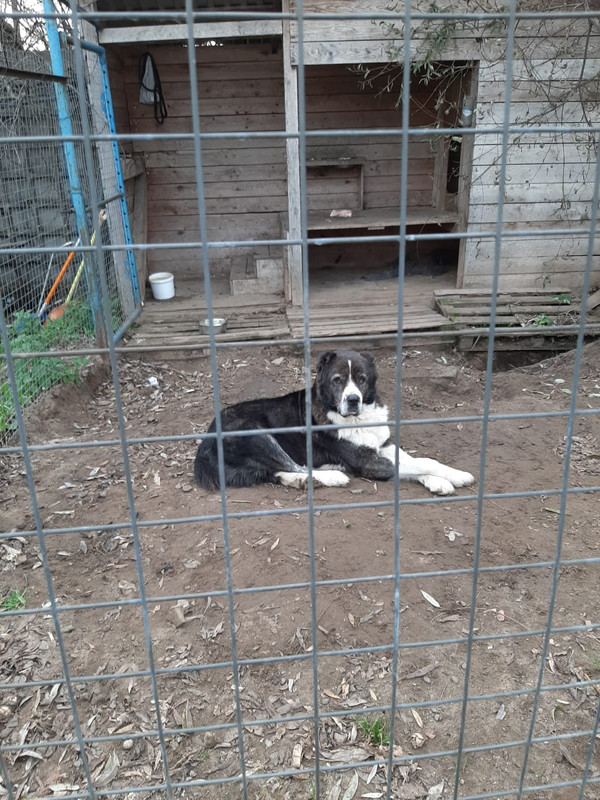 745831EB-5FA2-4D5A-A74B-B424F65D92C7