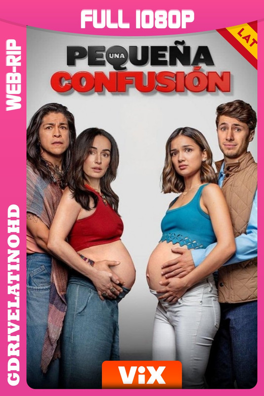 Una pequeña confusión (2024) WEBRip 1080p Latino