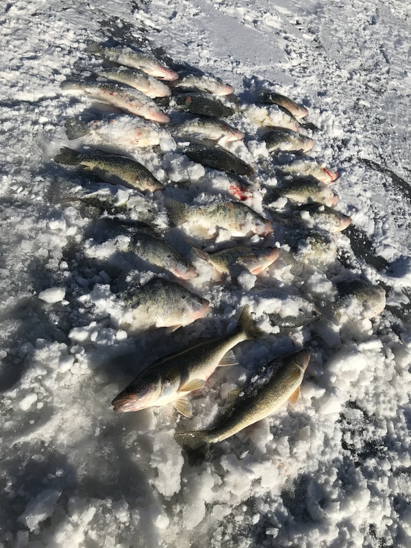 C571F6F0-2EB6-42C5-9403-03EB19D0C633