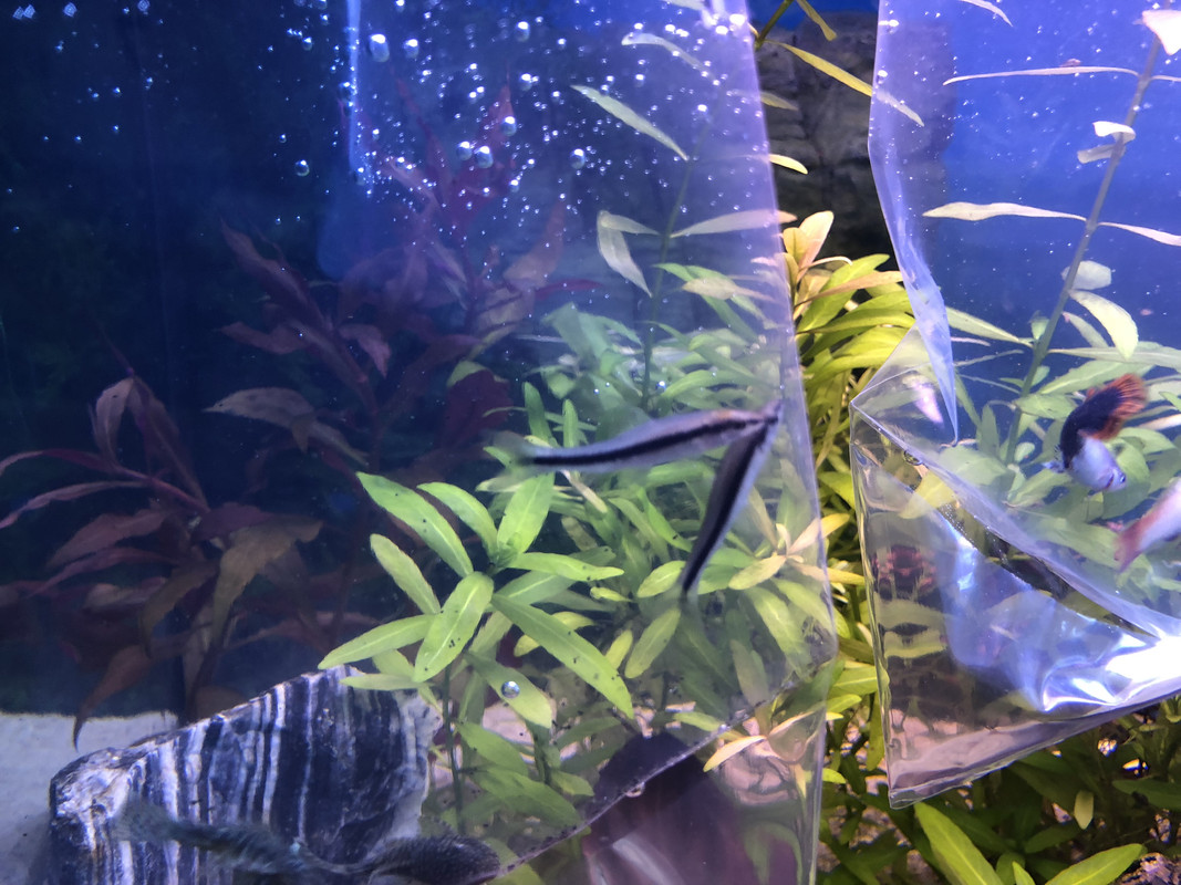 5B86300A-2C94-4821-83F2-CC90B40554B4