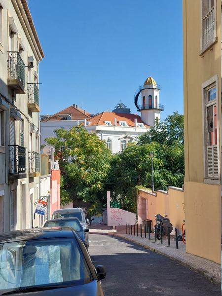 Slika