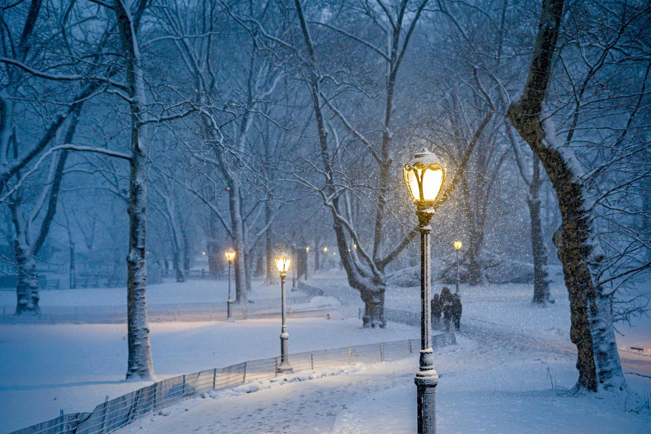 central park snow (11)