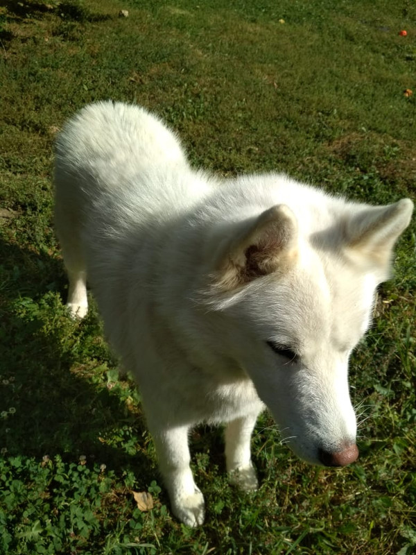 4D29BC02-C66E-451A-B64C-E75569FE3C7A