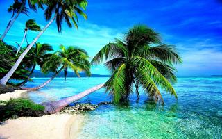 585958496-desktop-wallpaper-1366x768-tropical-beach.jpg