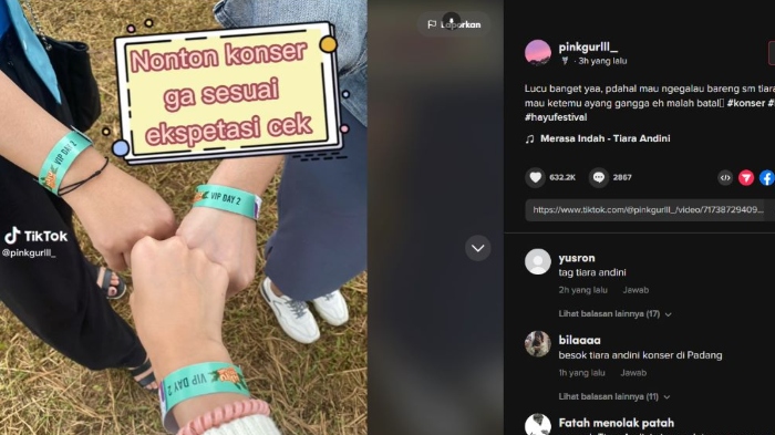 Momen penonton kecewa akibat pembatan konser musik Hayu Festival di Sukabumi yang baru-baru ini viral.