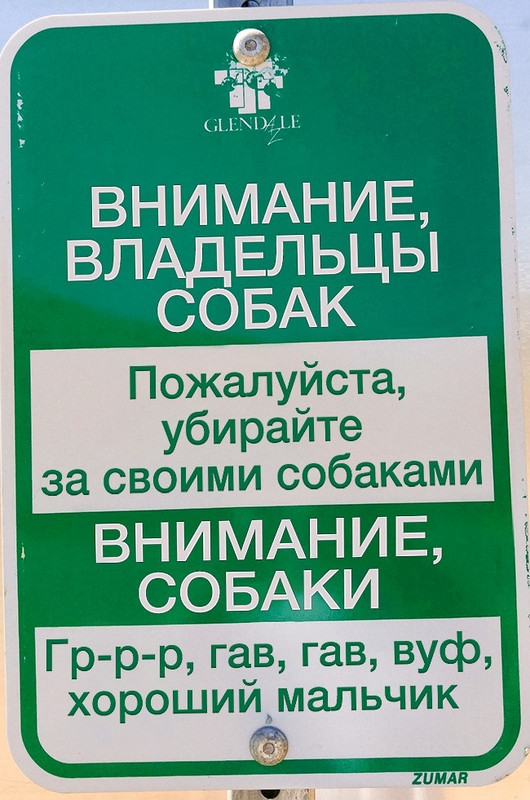 20 объявлений со всего мира, вызывающих недоумение и восторг одновременно