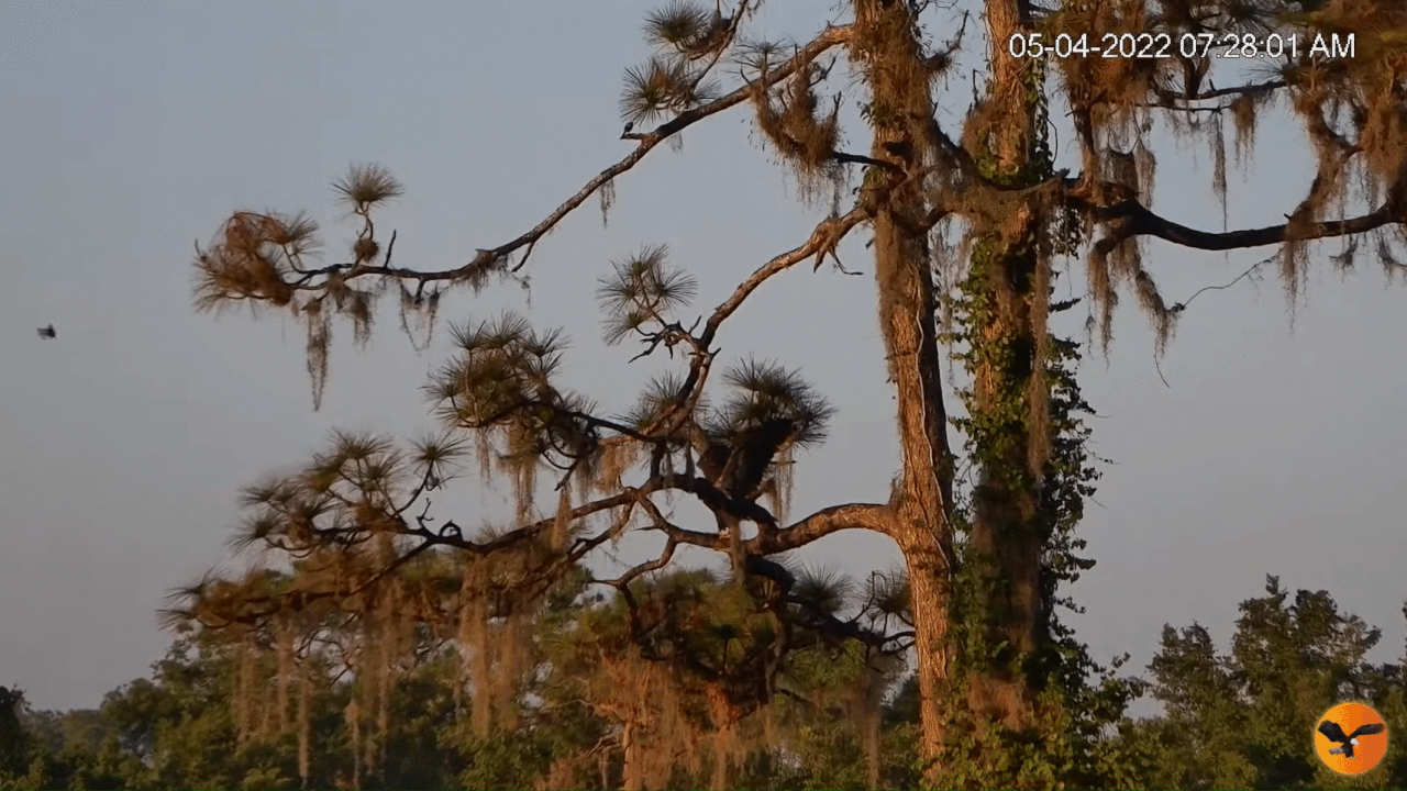 Webp.net-gifmaker (7)