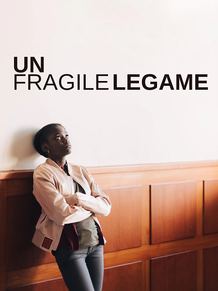 Un fragile legame (2019) mkv FullHD 1080p WEBDL ITA