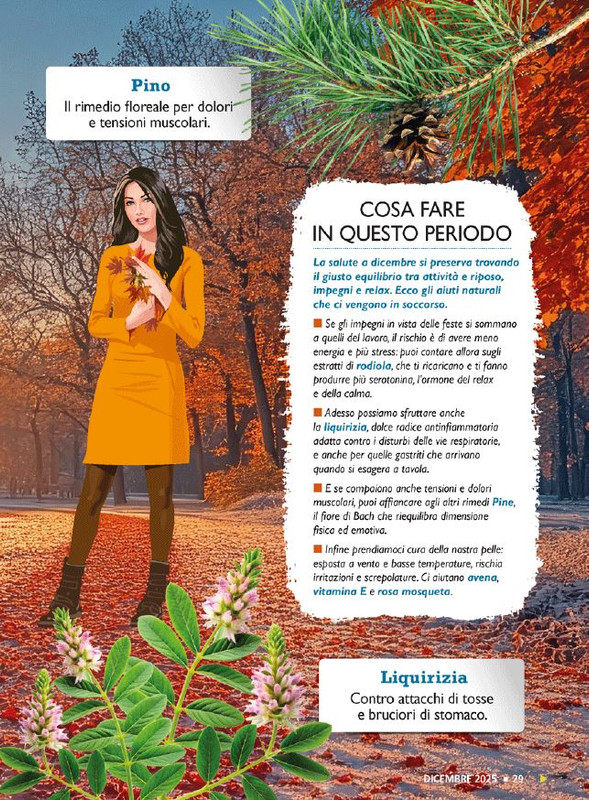 Sal Nat Dic 2025 (2)