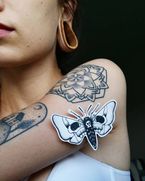 tumblr_oavrojtMA51qg0mcio1_500