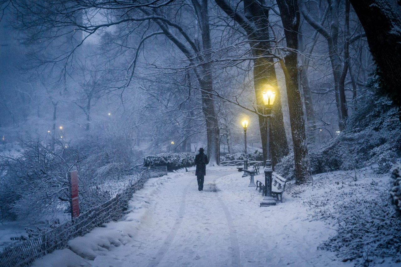 central park snow (17)