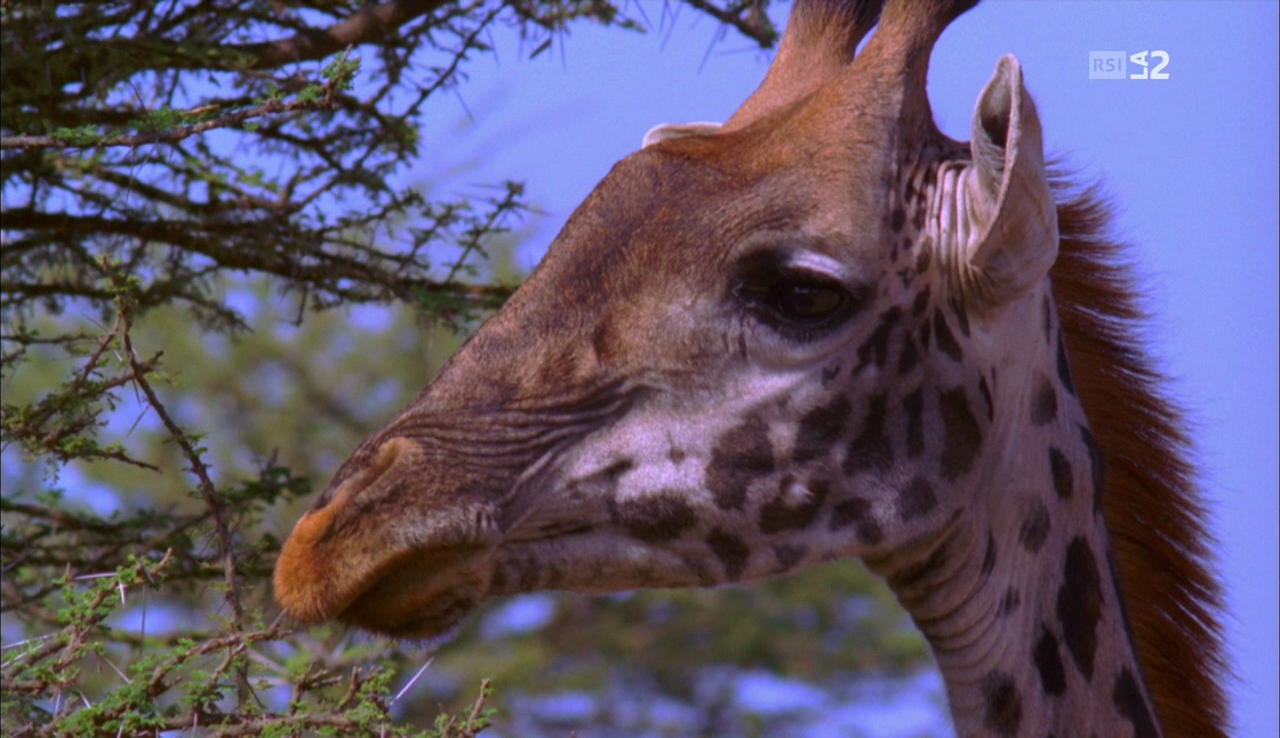 vlcsnap-2016-12-16-08h11m16s752