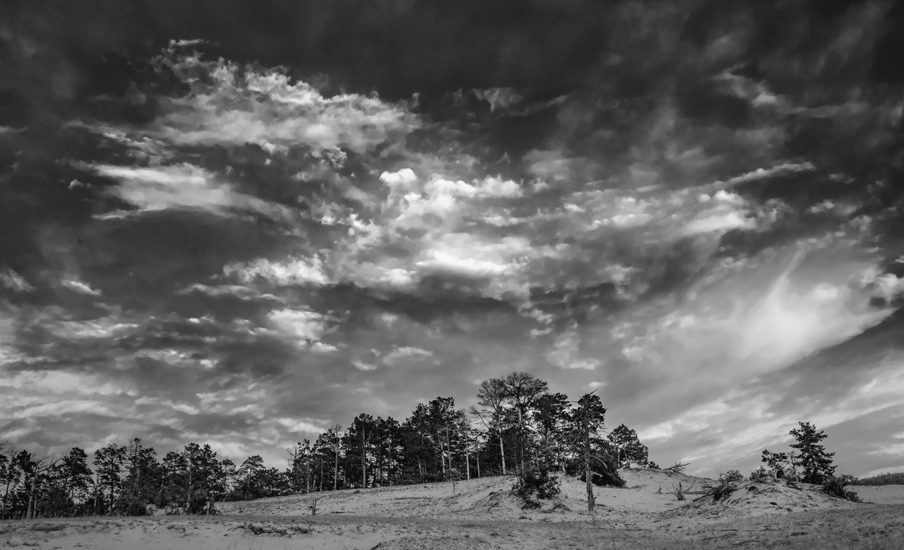 без названия