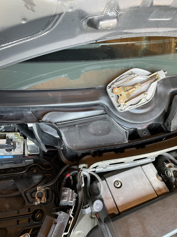 D655F657-B29F-446F-A623-A922F2F2B2FE