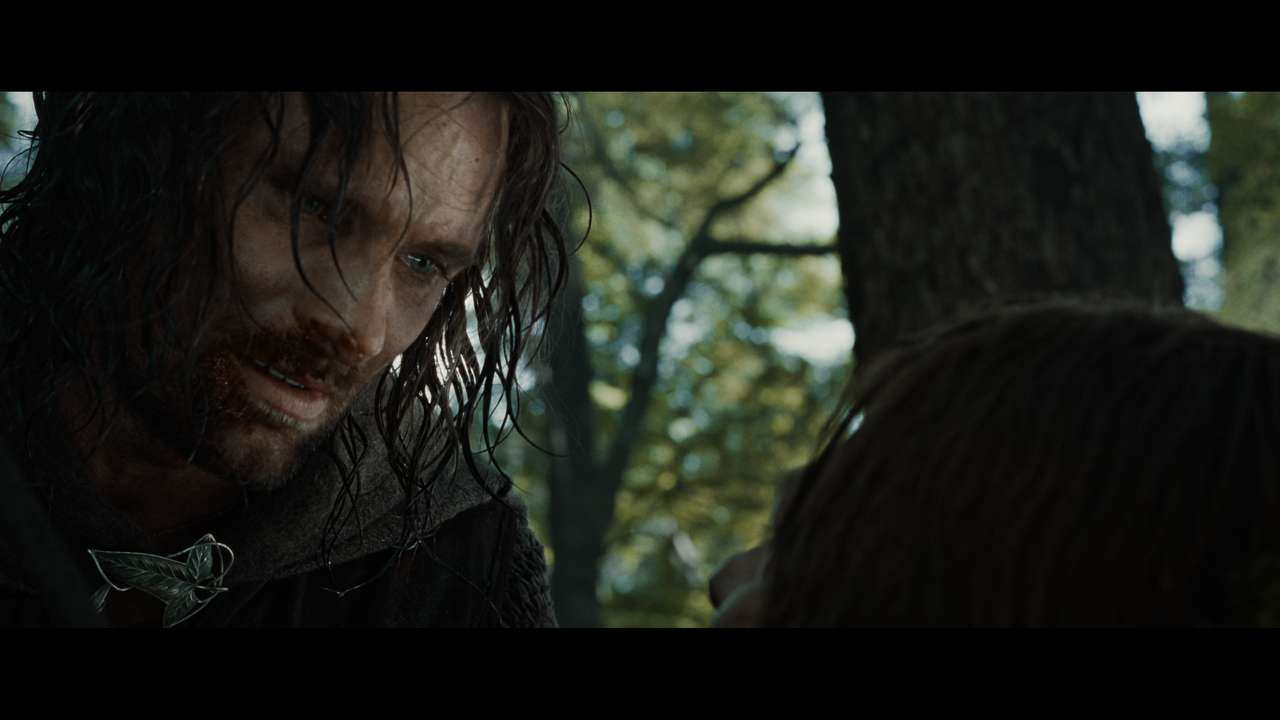 The Lord of the Rings- The Fellowship of the Ring (EXT.).mkv_snapshot_01.27.39_[2020.12.05_23.00.35]