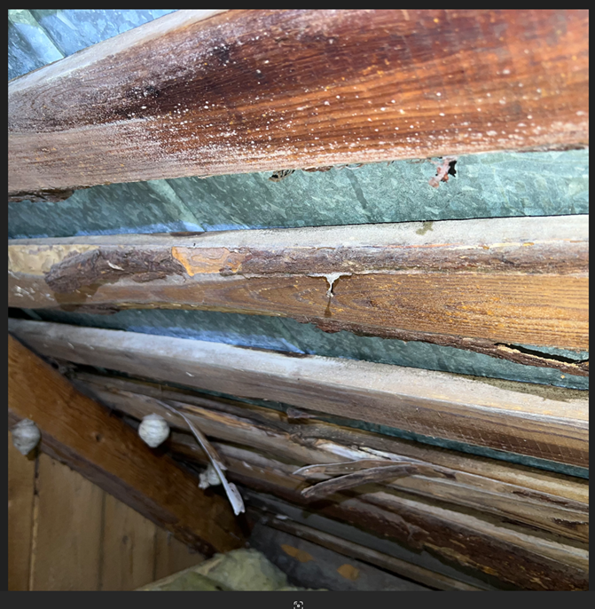 Näyttökuva 2025-03-24 182830