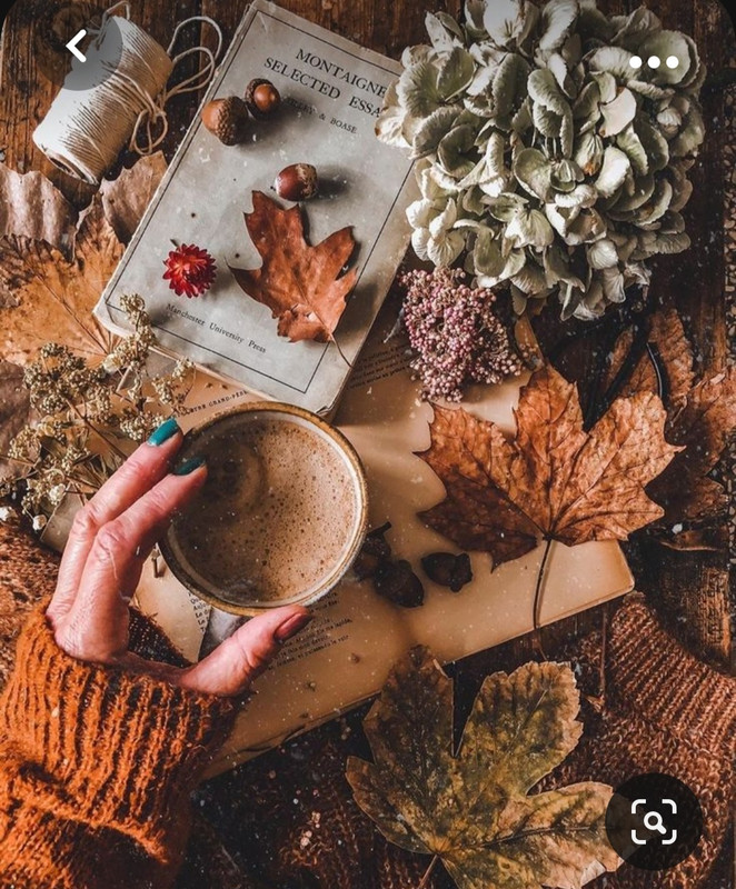 Screenshot_20231008_220726_Pinterest