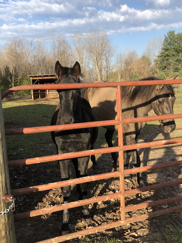 4700296C-A5E4-473C-BD7F-C6A78565E3EB