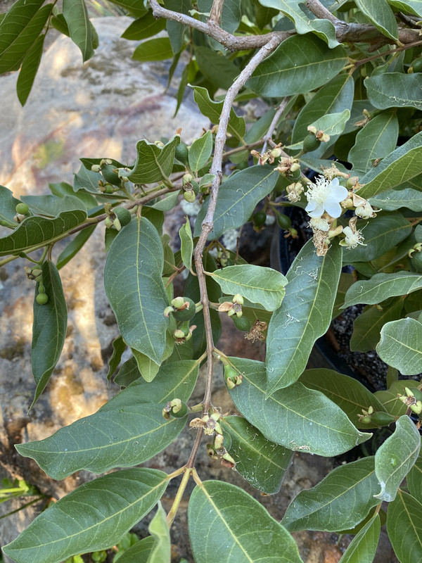 3CADBD20-A3BB-4199-878E-3D9ED71AB4BC