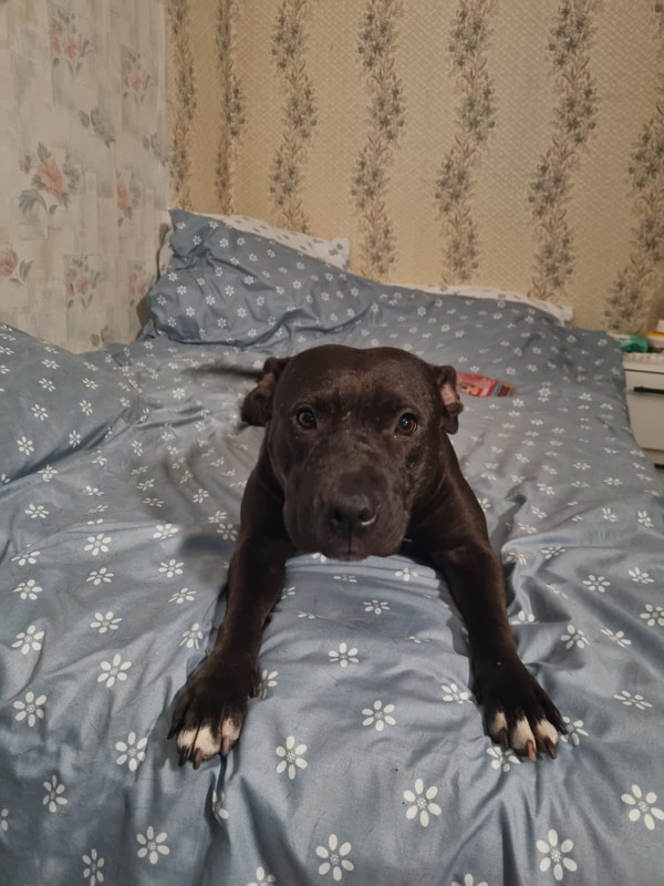 AC8DE0F2-2229-4699-9F30-01BAF74AC0F5