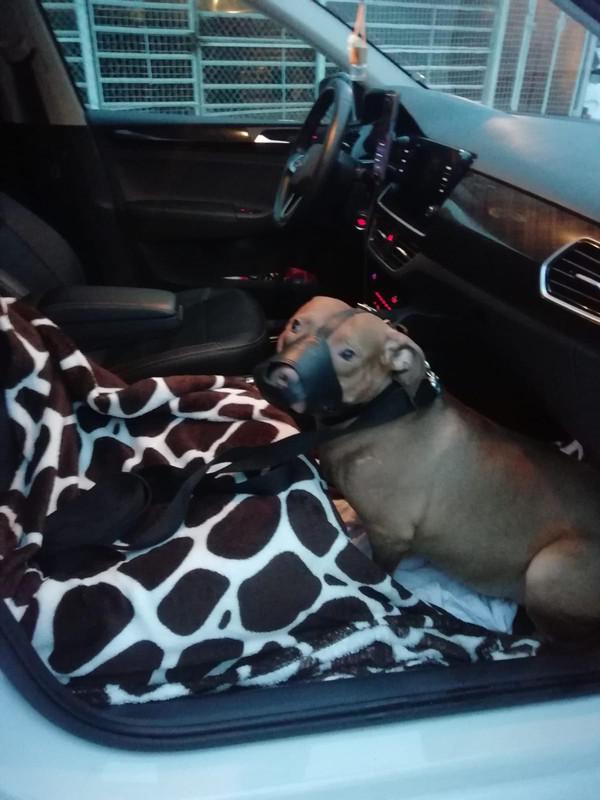 F0E0EE1C-7C29-4D51-B1A3-7E5004AD0AA9