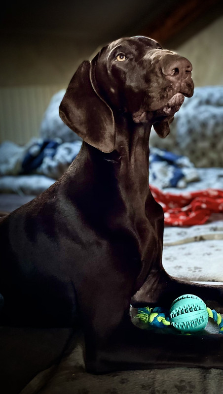 6CECD510-6F4E-4524-9CBB-A7A59F8B9B91