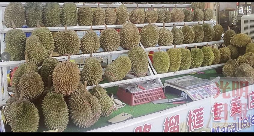 Durian 