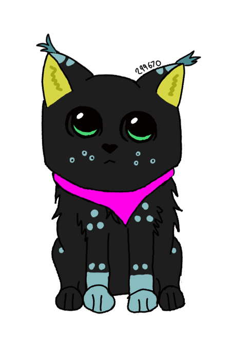 Cat-first-time.png