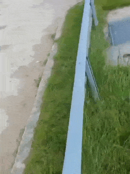 https://i.postimg.cc/j24s4jJz/ezgif-1c9d8db34a2163ed.gif