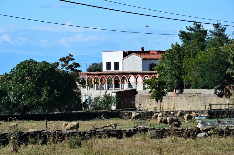 CARRASCALEJO-13-6-2023 - EXTREMADURA Y SUS PUEBLOS -2010-2023 (35)