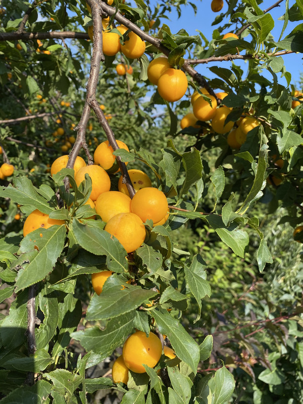 404E89CB-8396-4801-88AE-EB54898777A6