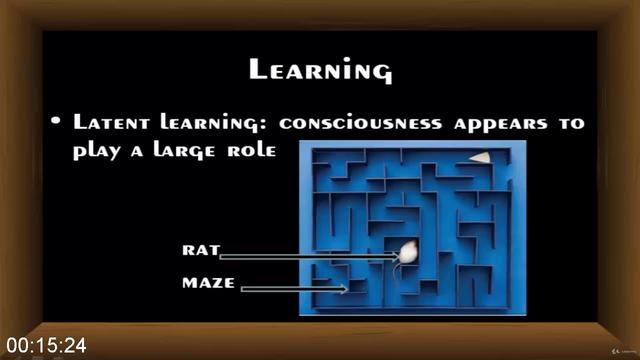 [Image: G-PPsychology-Masterclass.jpg]